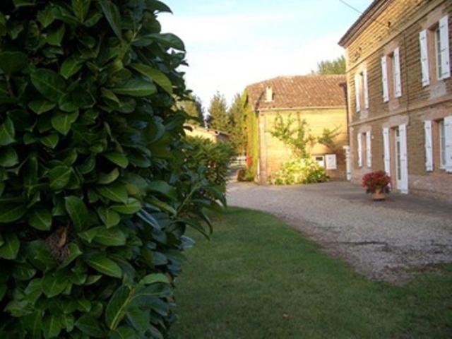 Le Platane Bed & Breakfast Lafrancaise Ngoại thất bức ảnh